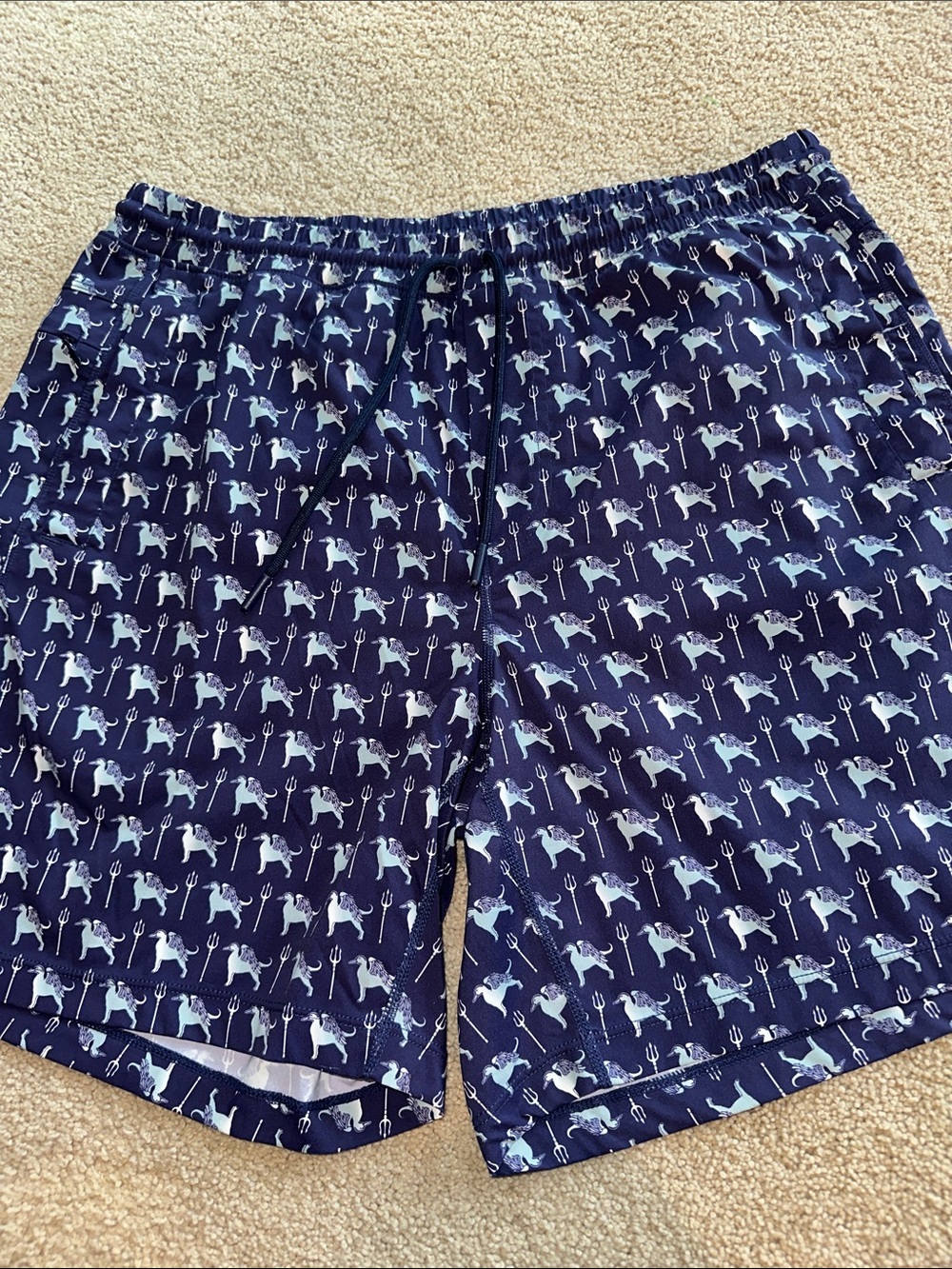 Birddogs swim trunks - Picture 2 of 12